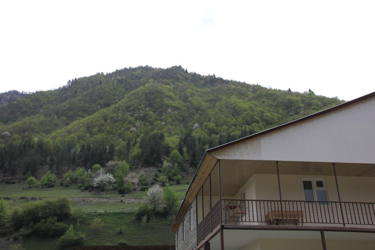 Guesthouse Qarim Mestia Exterior foto